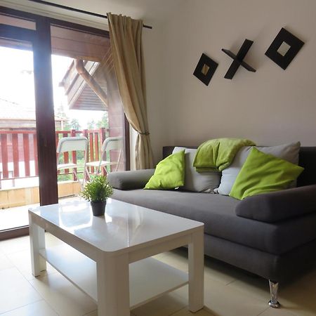 Flora Daisy Apartment Nr 28 Borowec Zewnętrze zdjęcie