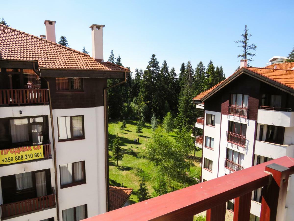Flora Daisy Apartment Nr 28 Borowec Zewnętrze zdjęcie