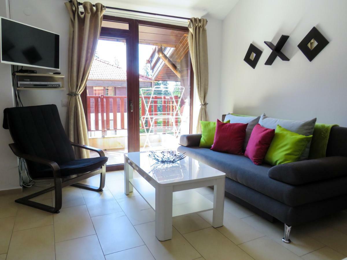 Flora Daisy Apartment Nr 28 Borowec Zewnętrze zdjęcie